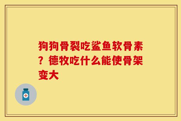 狗狗骨裂吃鲨鱼软骨素？德牧吃什么能使骨架变大