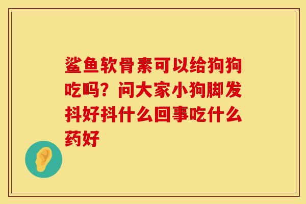 鲨鱼软骨素可以给狗狗吃吗？问大家小狗脚发抖好抖什么回事吃什么药好