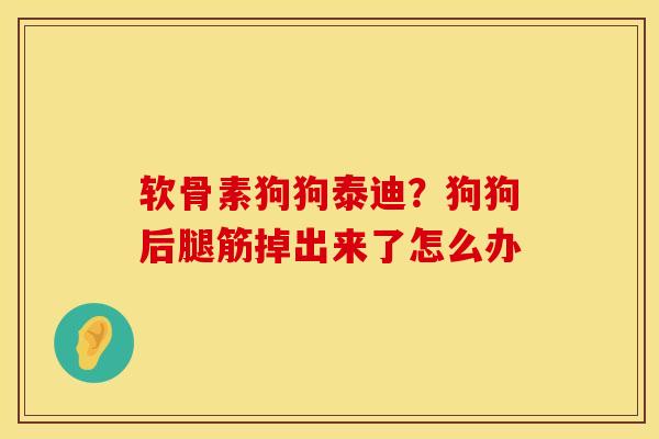 软骨素狗狗泰迪？狗狗后腿筋掉出来了怎么办