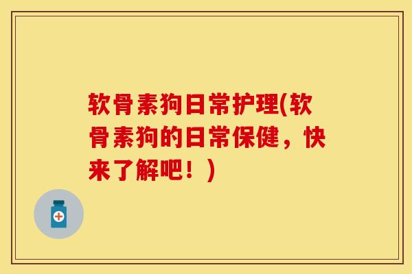 软骨素狗日常护理(软骨素狗的日常保健，快来了解吧！)