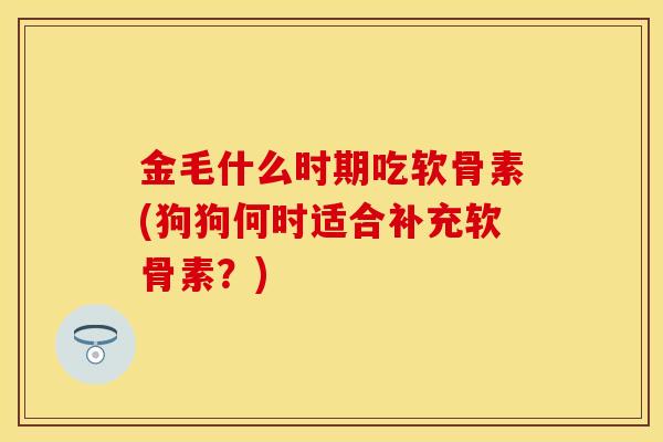 金毛什么时期吃软骨素(狗狗何时适合补充软骨素？)