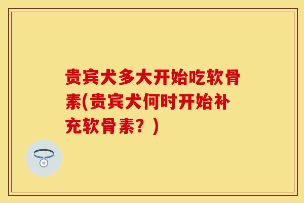 贵宾犬多大开始吃软骨素(贵宾犬何时开始补充软骨素？)