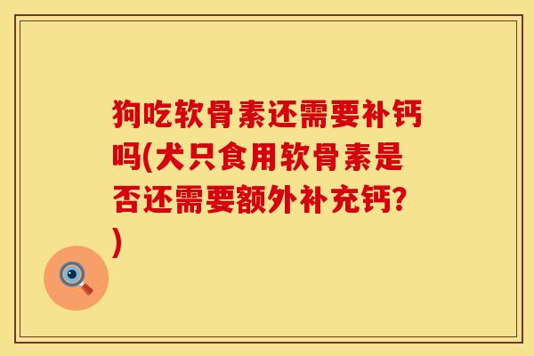 狗吃软骨素还需要补钙吗(犬只食用软骨素是否还需要额外补充钙？)