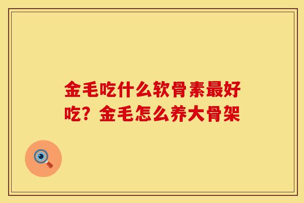 金毛吃什么软骨素最好吃？金毛怎么养大骨架