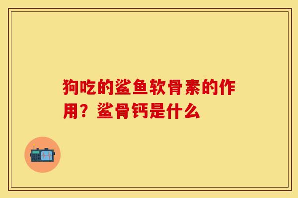 狗吃的鲨鱼软骨素的作用？鲨骨钙是什么