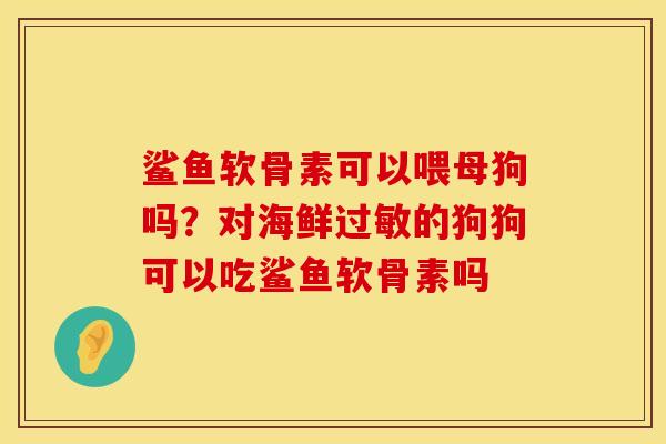 鲨鱼软骨素可以喂母狗吗?对海鲜的狗狗可以吃鲨鱼软骨素吗 鲨鱼软骨素可以喂母狗吗?对海鲜的狗狗可以吃鲨鱼软骨素吗