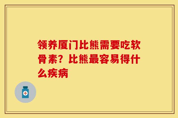 领养厦门比熊需要吃软骨素？比熊最容易得什么疾病