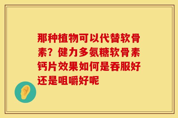 那种植物可以代替软骨素？健力多氨糖软骨素钙片效果如何是吞服好还是咀嚼好呢