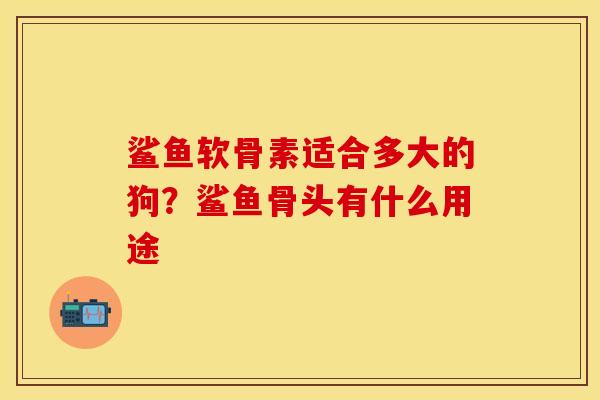鲨鱼软骨素适合多大的狗？鲨鱼骨头有什么用途
