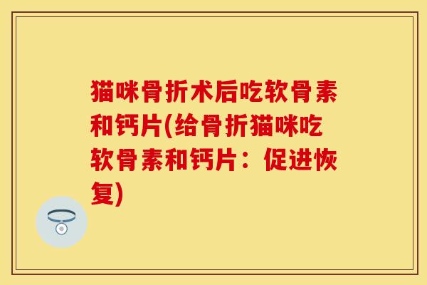 猫咪骨折术后吃软骨素和钙片(给骨折猫咪吃软骨素和钙片：促进恢复)
