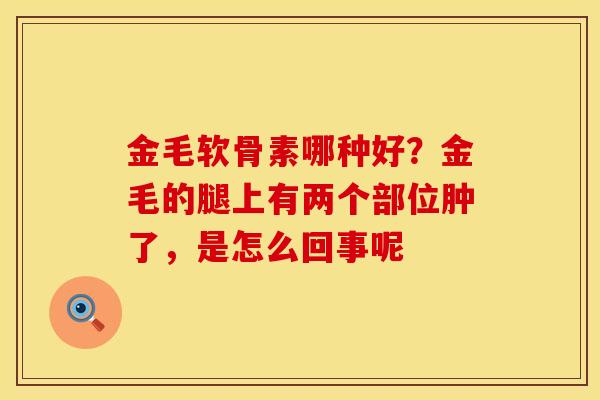 金毛软骨素哪种好？金毛的腿上有两个部位肿了，是怎么回事呢