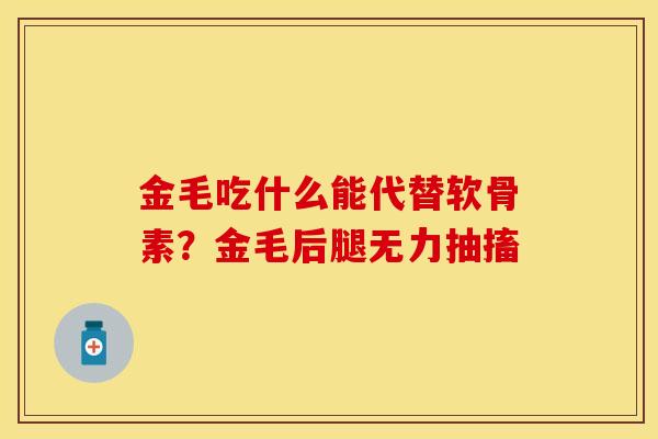 金毛吃什么能代替软骨素？金毛后腿无力抽搐