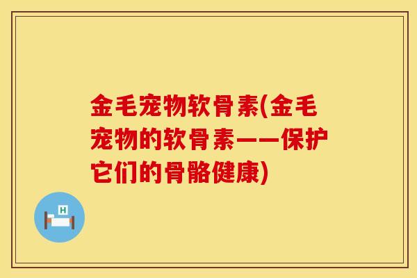 金毛宠物软骨素(金毛宠物的软骨素——保护它们的骨骼健康)