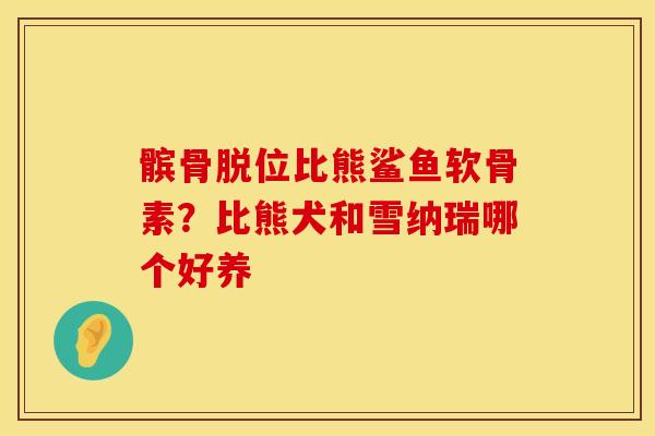 髌骨脱位比熊鲨鱼软骨素？比熊犬和雪纳瑞哪个好养