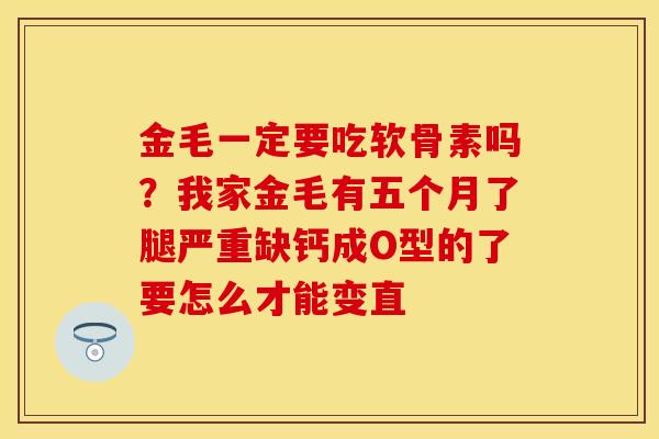 金毛一定要吃软骨素吗？我家金毛有五个月了腿严重缺钙成O型的了要怎么才能变直
