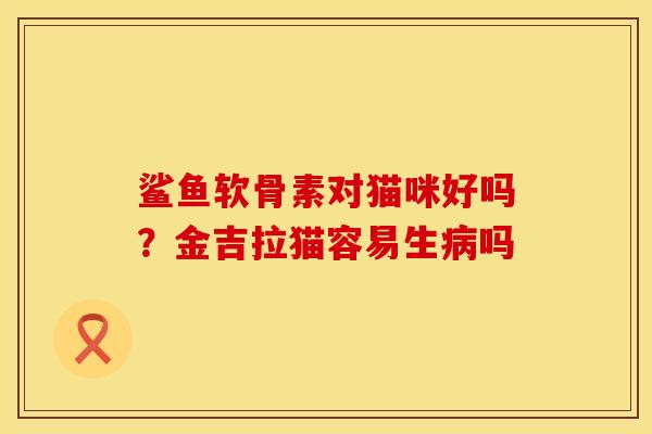 鲨鱼软骨素对猫咪好吗?金吉拉猫容易生病吗