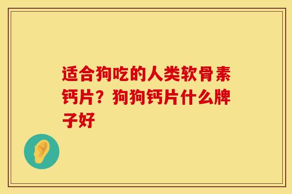 适合狗吃的人类软骨素钙片？狗狗钙片什么牌子好