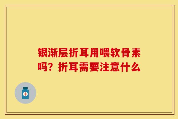 银渐层折耳用喂软骨素吗？折耳需要注意什么