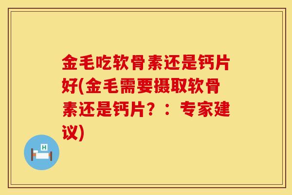 金毛吃软骨素还是钙片好(金毛需要摄取软骨素还是钙片？：专家建议)
