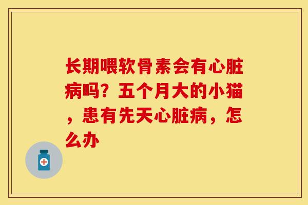长期喂软骨素会有心脏病吗？五个月大的小猫，患有先天心脏病，怎么办
