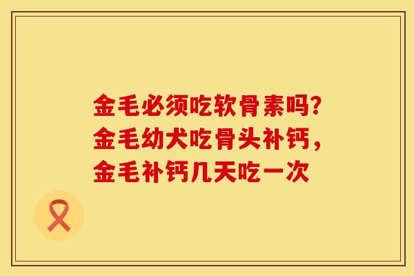 金毛必须吃软骨素吗？金毛幼犬吃骨头补钙，金毛补钙几天吃一次