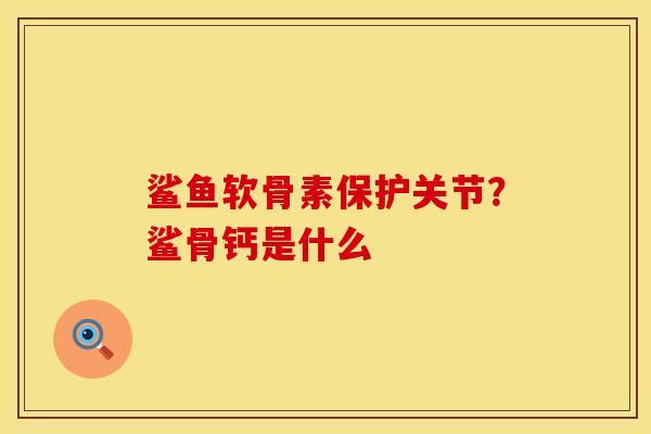 鲨鱼软骨素保护关节？鲨骨钙是什么