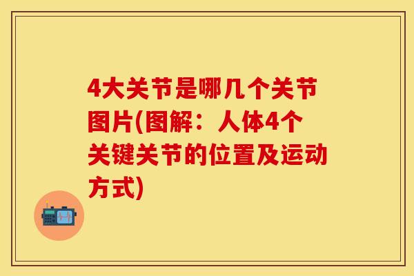 4大关节是哪几个关节图片(图解：人体4个关键关节的位置及运动方式)