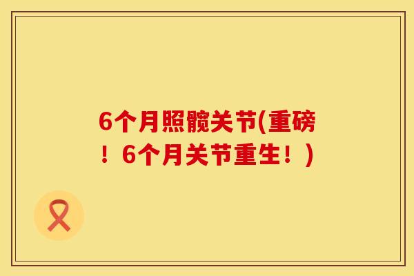 6个月照髋关节(重磅！6个月关节重生！)