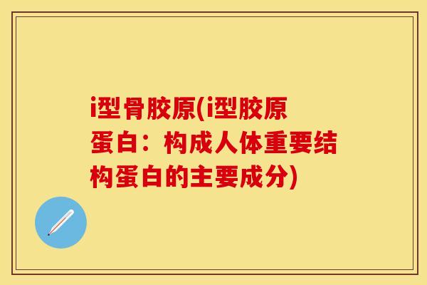 i型骨胶原(i型胶原蛋白：构成人体重要结构蛋白的主要成分)