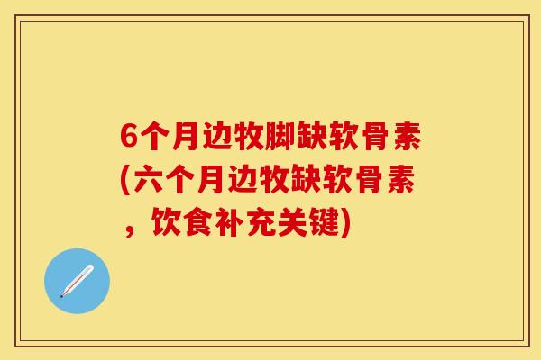 6个月边牧脚缺软骨素(六个月边牧缺软骨素，饮食补充关键)