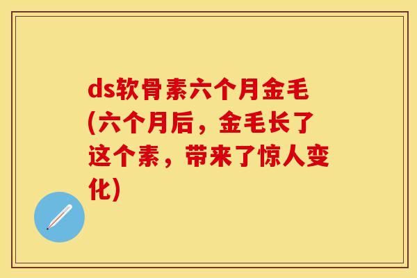 ds软骨素六个月金毛(六个月后，金毛长了这个素，带来了惊人变化)
