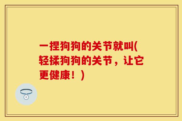 一捏狗狗的关节就叫(轻揉狗狗的关节,让它更健康!)