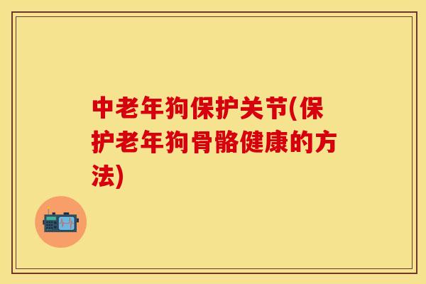 中老年狗保护关节(保护老年狗骨骼健康的方法)