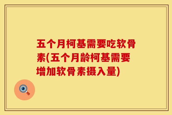 五个月柯基需要吃软骨素(五个月龄柯基需要增加软骨素摄入量)