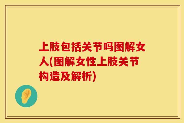 上肢包括关节吗图解女人(图解女性上肢关节构造及解析)