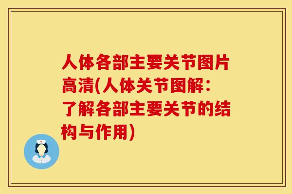 人体各部主要关节图片高清(人体关节图解：了解各部主要关节的结构与作用)