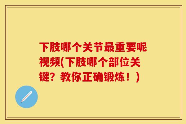 下肢哪个关节最重要呢视频(下肢哪个部位关键？教你正确锻炼！)