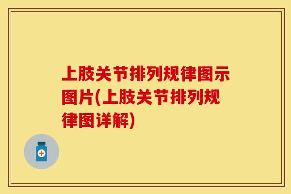 上肢关节排列规律图示图片(上肢关节排列规律图详解)