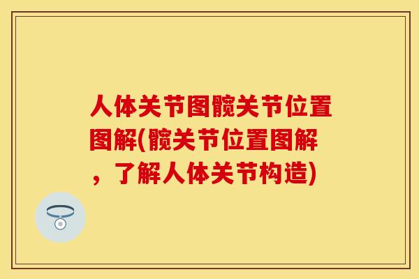人体关节图髋关节位置图解(髋关节位置图解，了解人体关节构造)