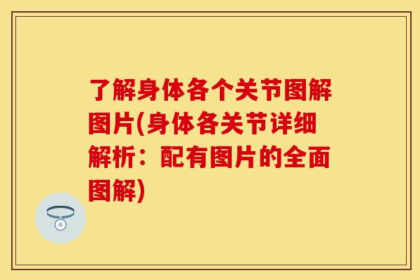 了解身体各个关节图解图片(身体各关节详细解析：配有图片的全面图解)