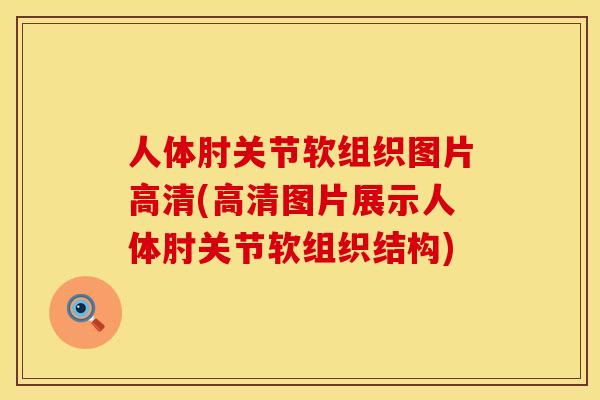 人体肘关节软组织图片高清(高清图片展示人体肘关节软组织结构)