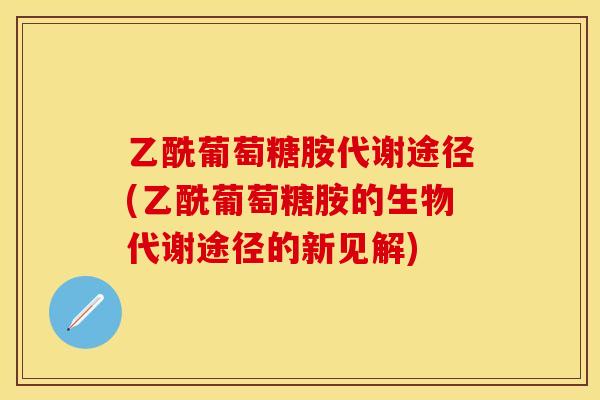乙酰葡萄糖胺代谢途径(乙酰葡萄糖胺的生物代谢途径的新见解)
