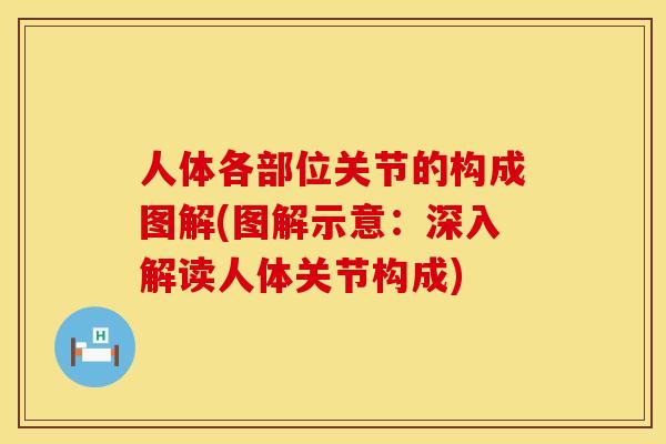 人体各部位关节的构成图解(图解示意：深入解读人体关节构成)
