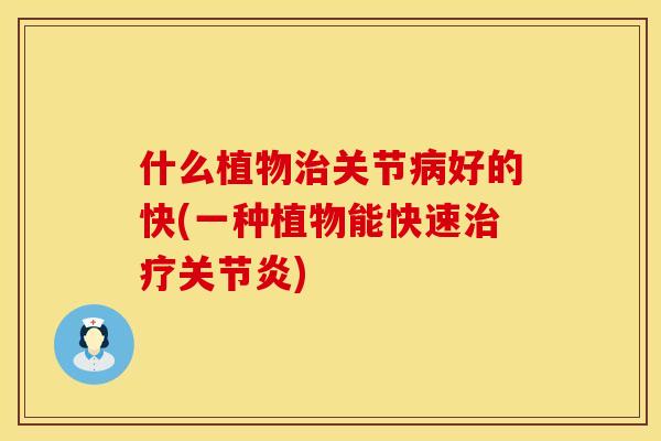 什么植物治关节病好的快(一种植物能快速治疗关节炎)