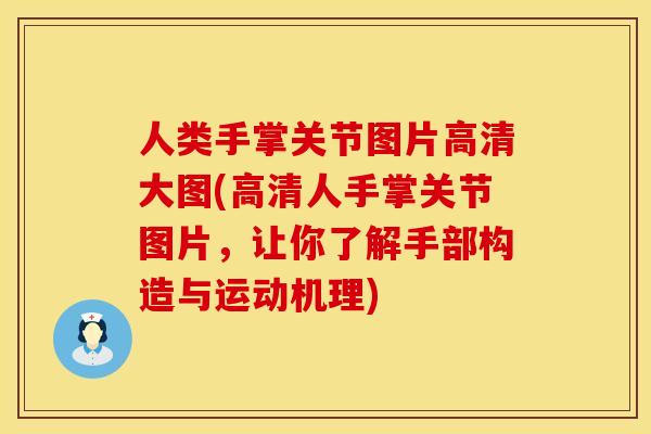 人类手掌关节图片高清大图(高清人手掌关节图片，让你了解手部构造与运动机理)