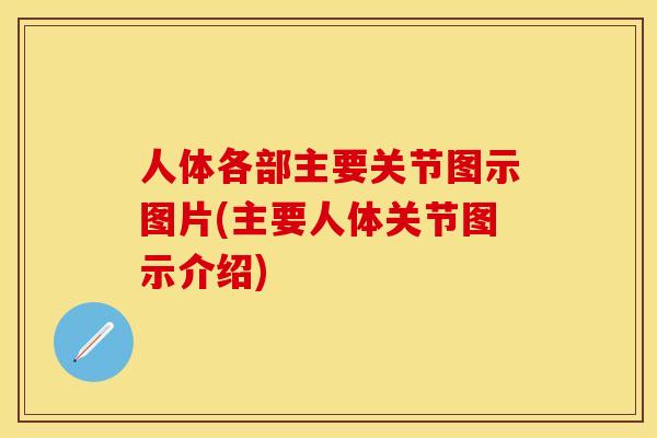 人体各部主要关节图示图片(主要人体关节图示介绍)