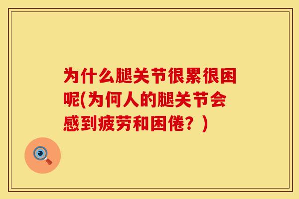 为什么腿关节很累很困呢(为何人的腿关节会感到疲劳和困倦？)