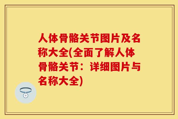 人体骨骼关节图片及名称大全(全面了解人体骨骼关节：详细图片与名称大全)