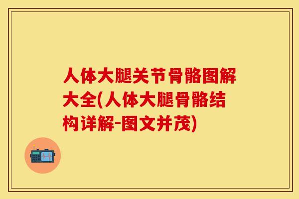 人体大腿关节骨骼图解大全(人体大腿骨骼结构详解-图文并茂)
