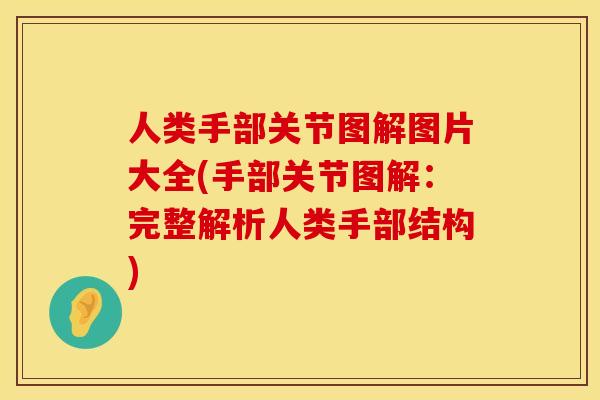 人类手部关节图解图片大全(手部关节图解：完整解析人类手部结构)